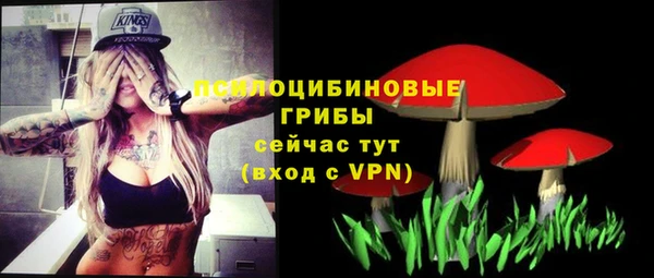 ешки Тавда
