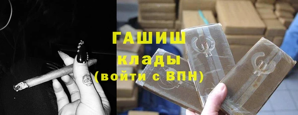 шишки Сосновый Бор