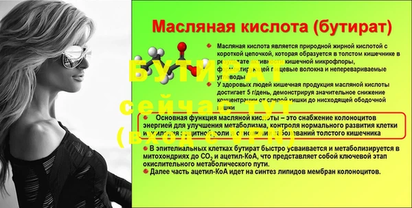 apvp Тайга