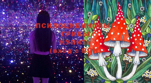 MDMA Сосновка