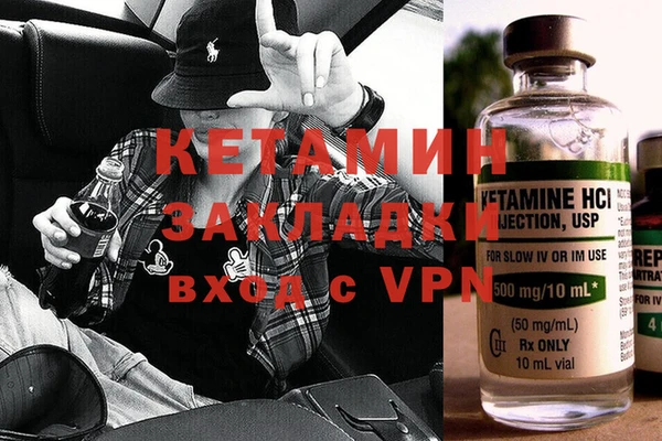 шишки Сосновый Бор
