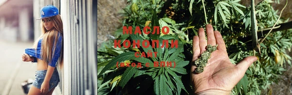 индика Тобольск