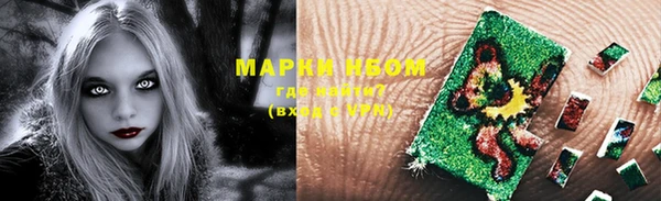 шишки Сосновый Бор