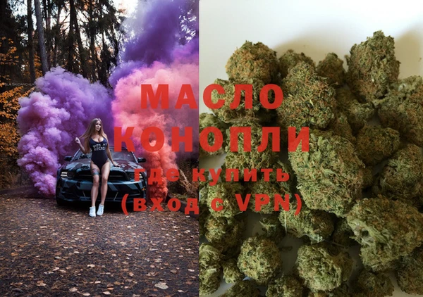 шишки Сосновый Бор