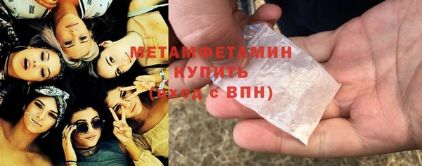 шишки Сосновый Бор