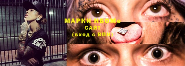 шишки Сосновый Бор