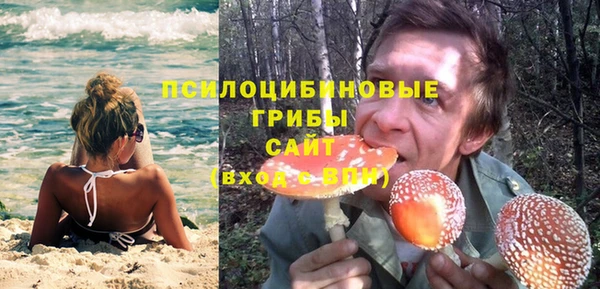 эйфоретик Струнино