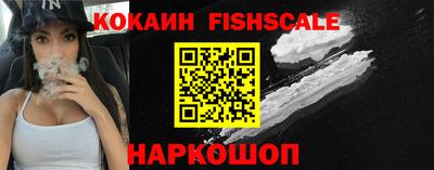 стаф Кулебаки