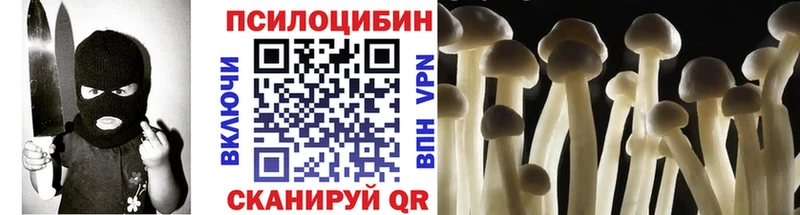 наркота  Бугуруслан  Псилоцибиновые грибы Cubensis 
