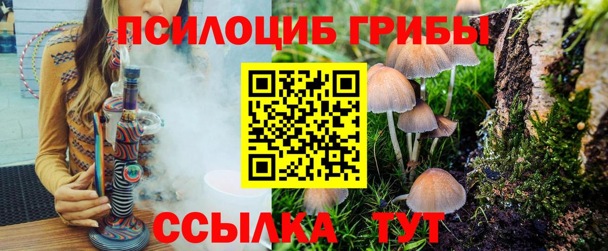 сколько стоит  Вход с VPN  Псилоцибиновые грибы мицелий  Бугуруслан  Галлюциногенные грибы мухоморы 